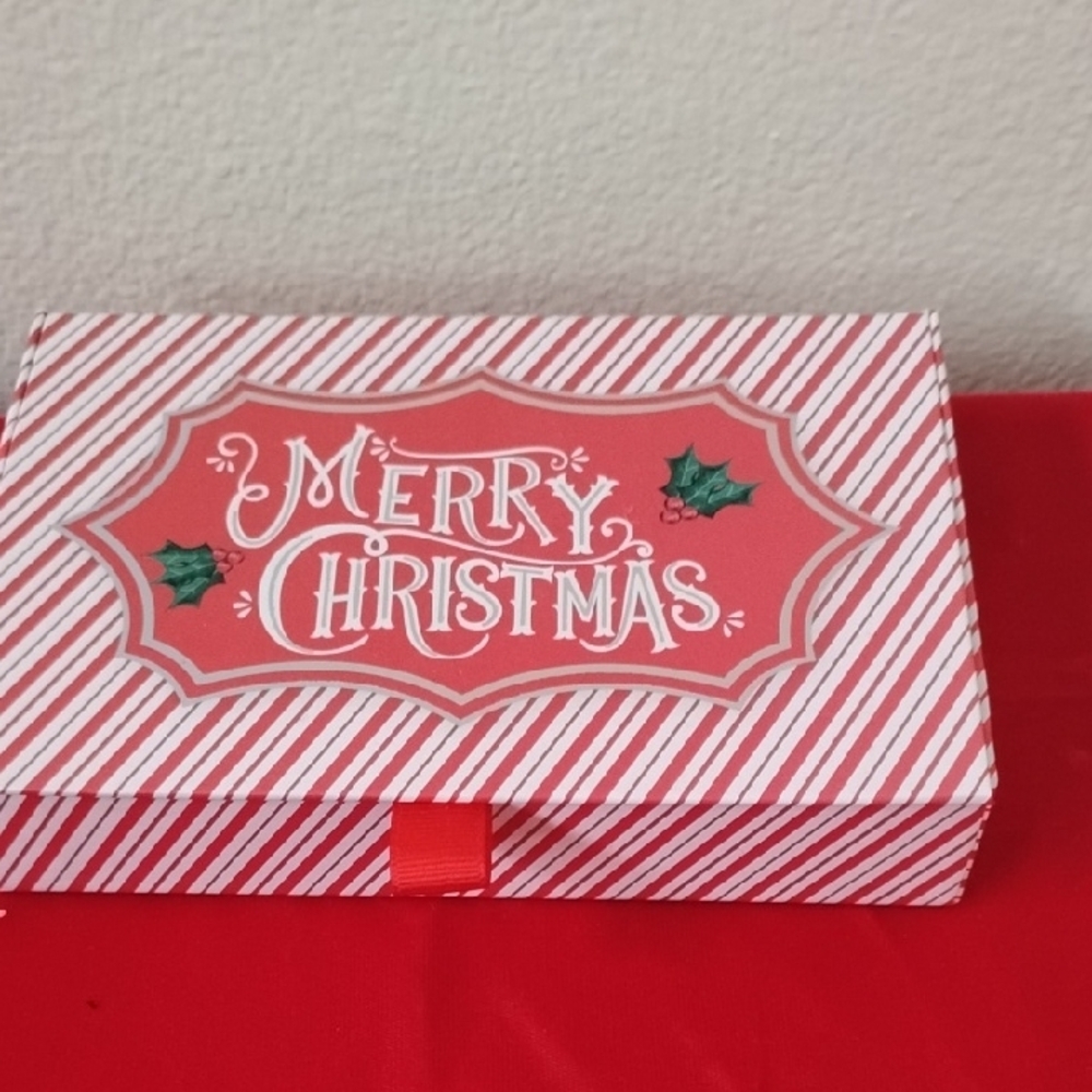 D- NWOT Festive Holiday Shaped Ornament Box and Storage Box - Picture 7 of 12